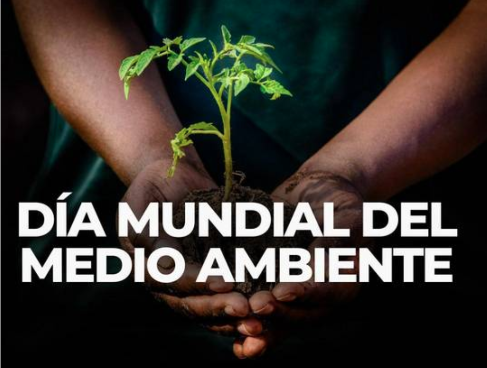 Día Mundial del Medioambiente (5 junio)